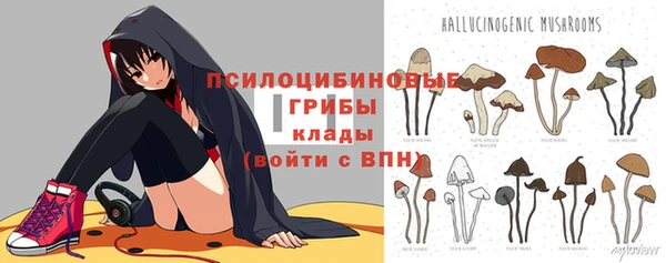 apvp Костерёво