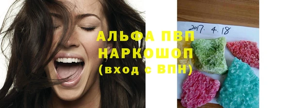 сатива Коряжма