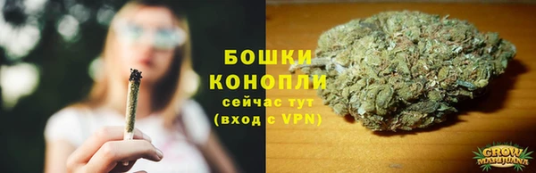 сатива Кукмор