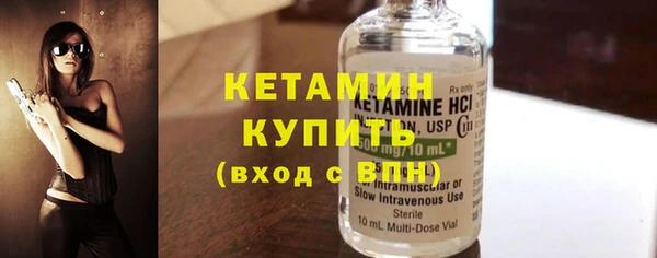 сатива Коряжма