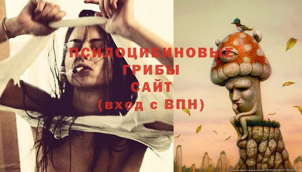 трава Куйбышев