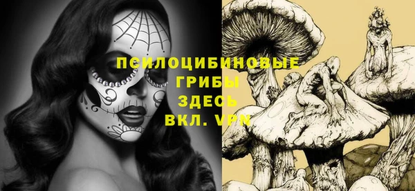 apvp Костерёво