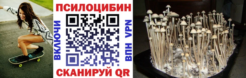 Галлюциногенные грибы GOLDEN TEACHER  наркотики  KRAKEN   Белокуриха 